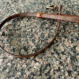 Louis Vuitton Dog Leash